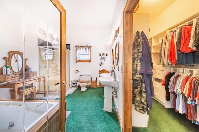 spacious closet featuring carpet and a sink