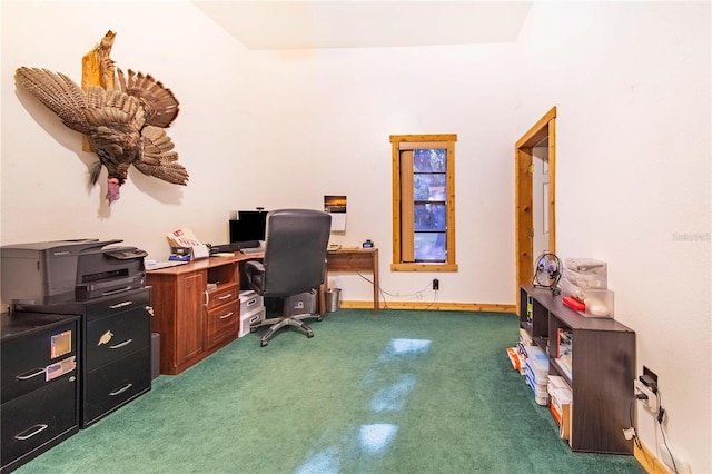 home office with dark carpet