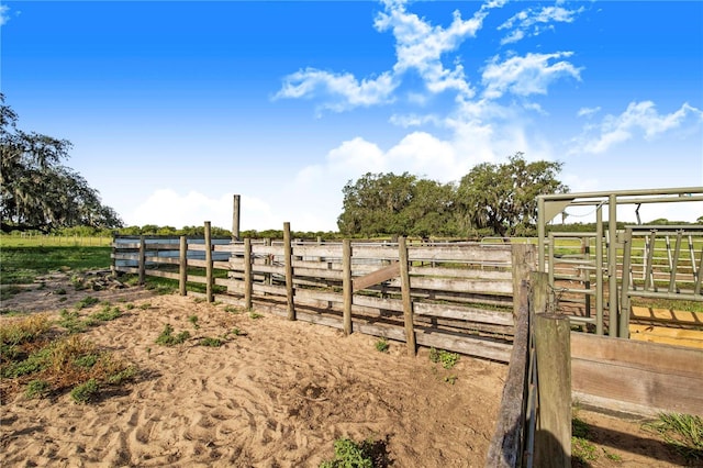 view of yard with a rural view