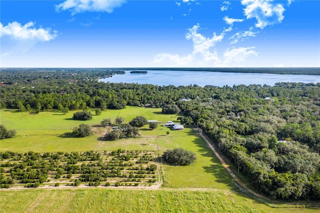 birds eye view of property featuring a water view and a forest view