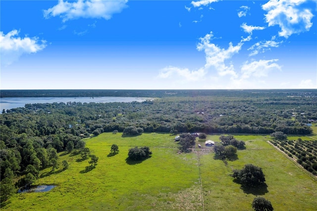 aerial view with a rural view and a water view