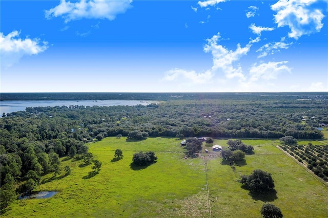 drone / aerial view with a water view and a wooded view