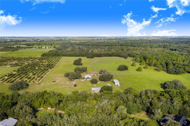 birds eye view of property with a rural view