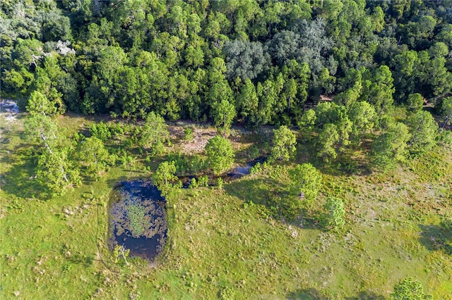 bird's eye view with a wooded view