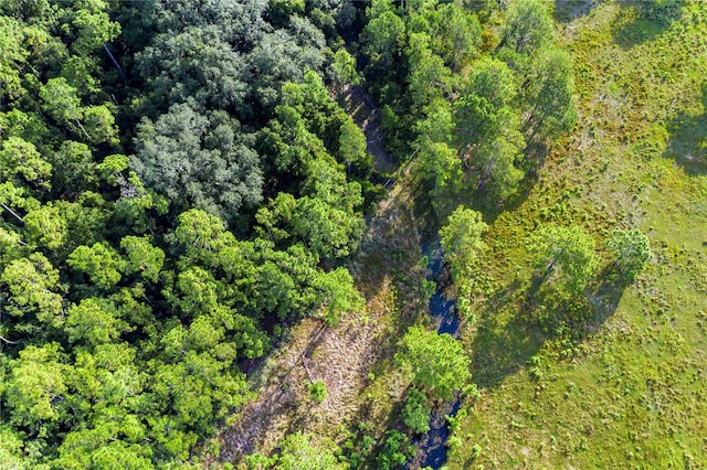 bird's eye view featuring a view of trees