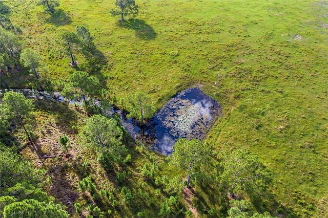 birds eye view of property with a forest view