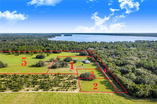 birds eye view of property with a water view and a view of trees