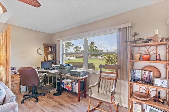 office area featuring a textured ceiling and light hardwood / wood-style floors