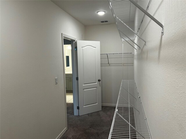 177 Cimarron Ln, Kissimmee, FL 34759 - walk in closet featuring carpet floors