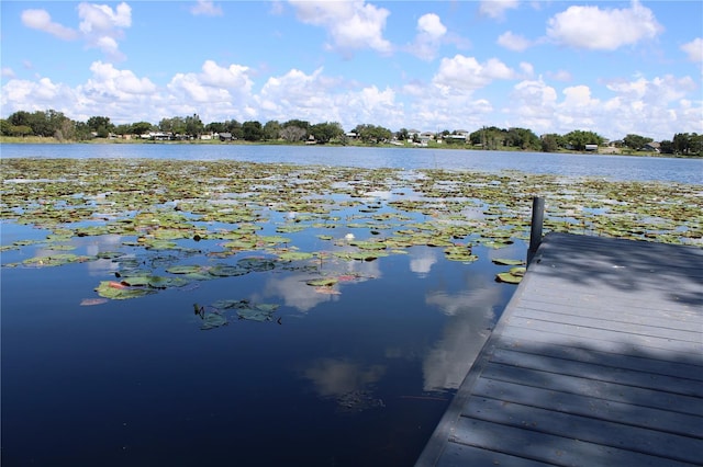 dock area with a water view