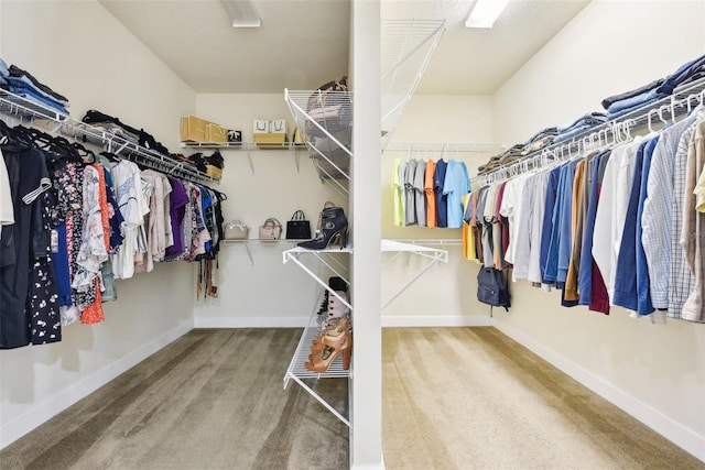 spacious closet with carpet