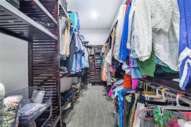 walk in closet featuring hardwood / wood-style flooring