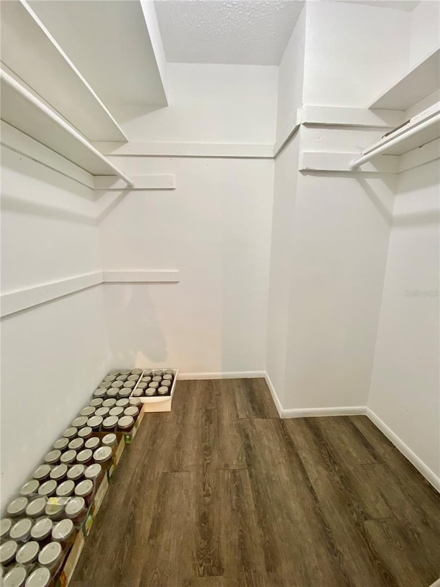 walk in closet featuring dark wood-type flooring