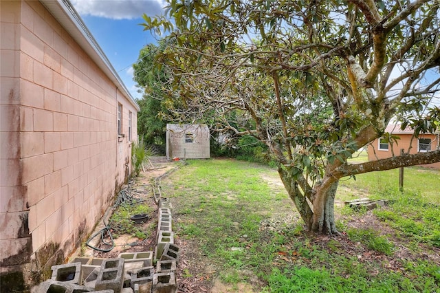 view of yard with a storage unit