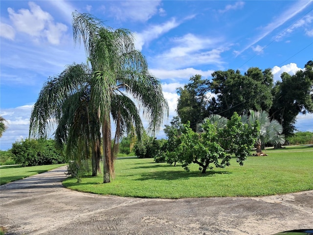 view of community with a lawn