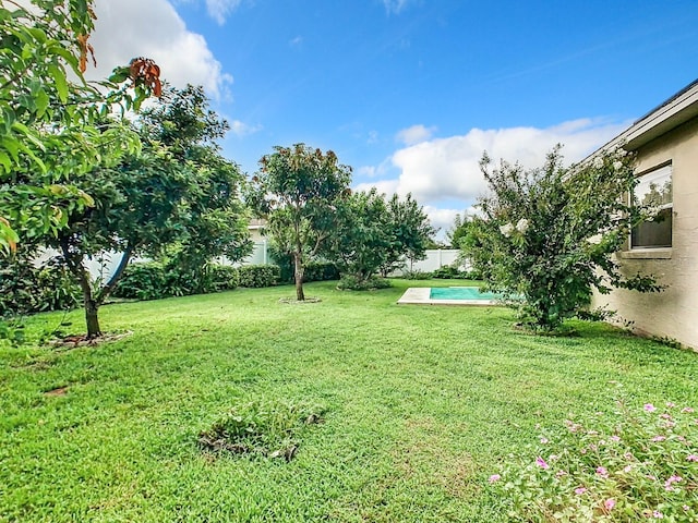 view of yard with a fenced backyard and a fenced in pool