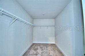 spacious closet with light colored carpet