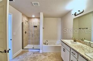 bathroom with separate shower and tub and vanity