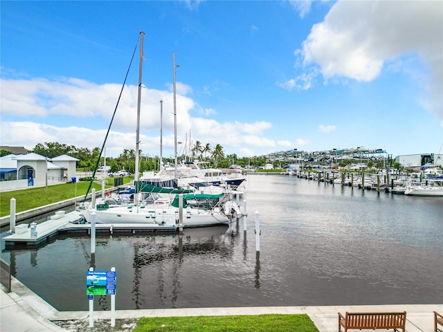 dock area with a water view