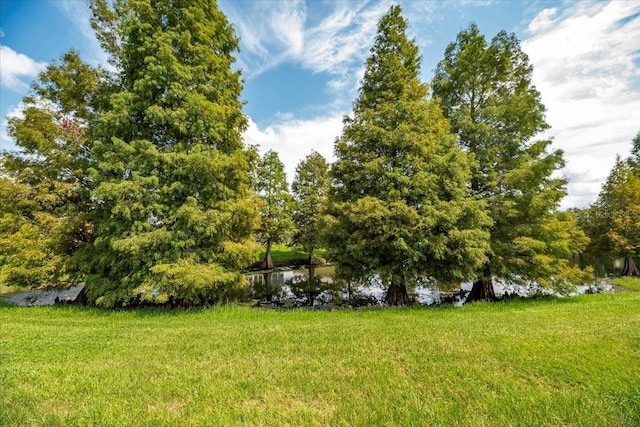 view of yard featuring a water view