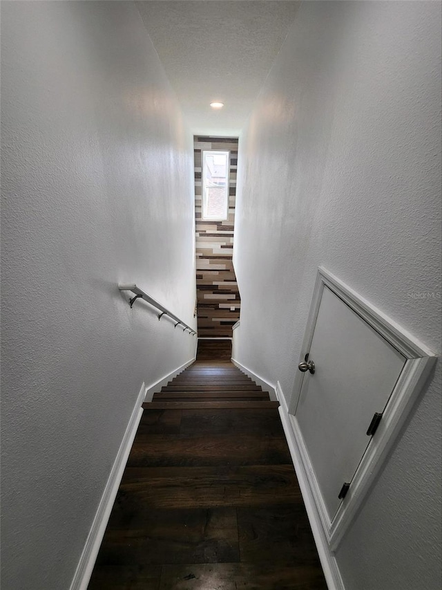 staircase with wood-type flooring