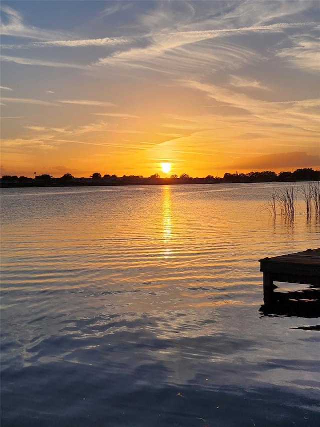 property view of water