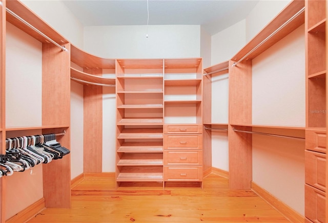 spacious closet with light wood-type flooring