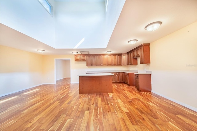 kitchen featuring light hardwood / wood-style floors and a center island