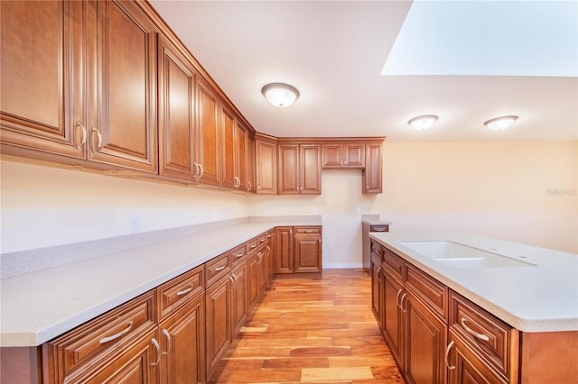 kitchen with sink and light hardwood / wood-style floors