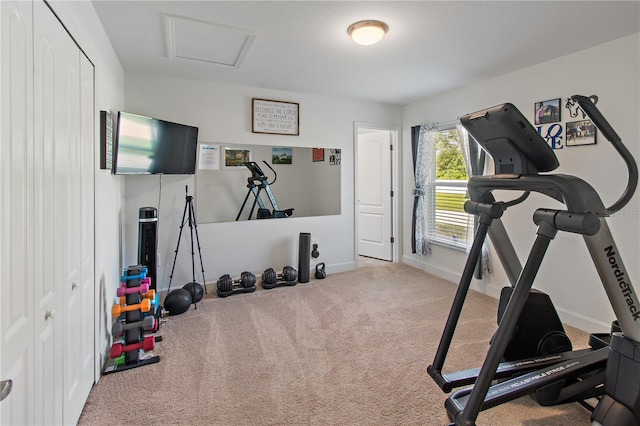 exercise room featuring light colored carpet