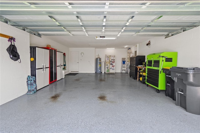 garage with a garage door opener and water heater