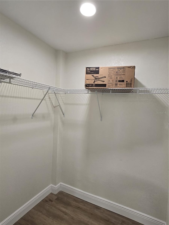 spacious closet featuring hardwood / wood-style flooring