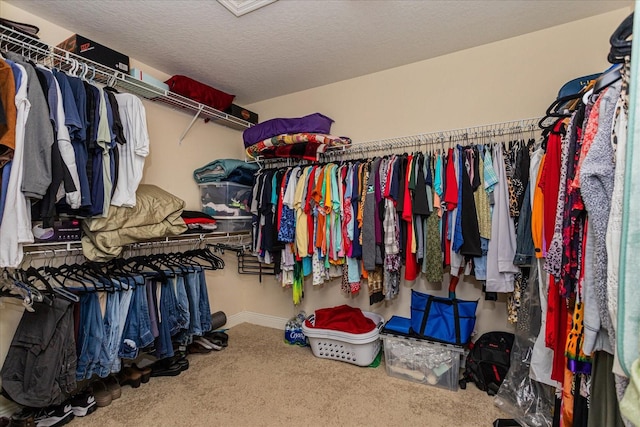 walk in closet with carpet floors