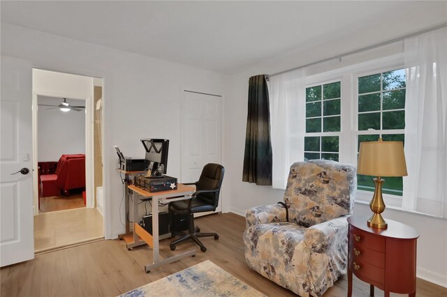 office area featuring ceiling fan and hardwood / wood-style flooring