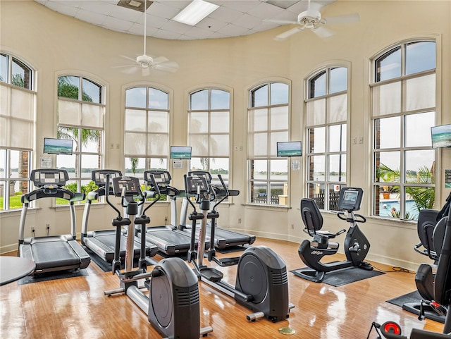 workout area featuring a healthy amount of sunlight, ceiling fan, and hardwood / wood-style flooring