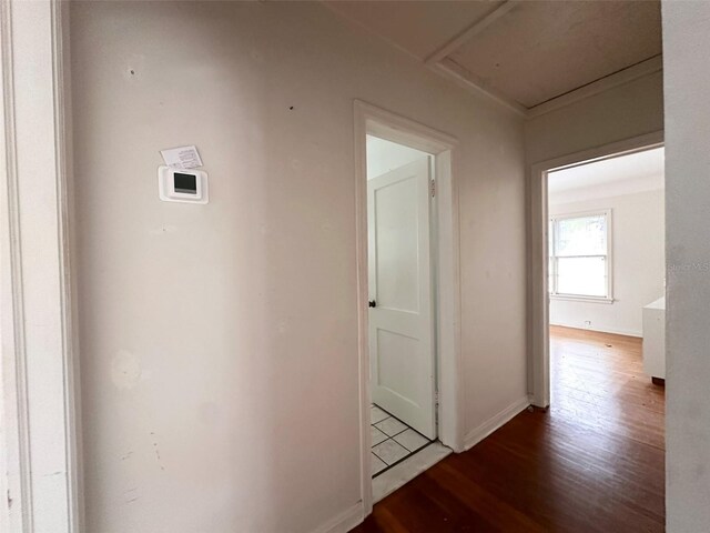 121 Bates Ave SE, Winter Haven, FL 33880 - photo 33