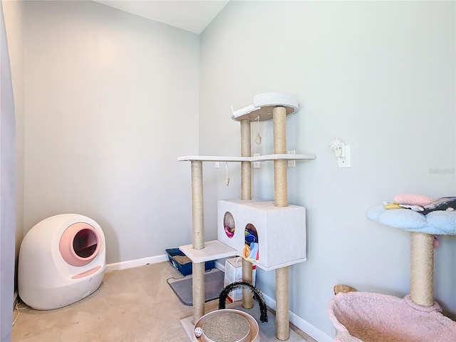278 Alford Dr, Davenport, FL 33896 - miscellaneous room featuring baseboards and carpet floors