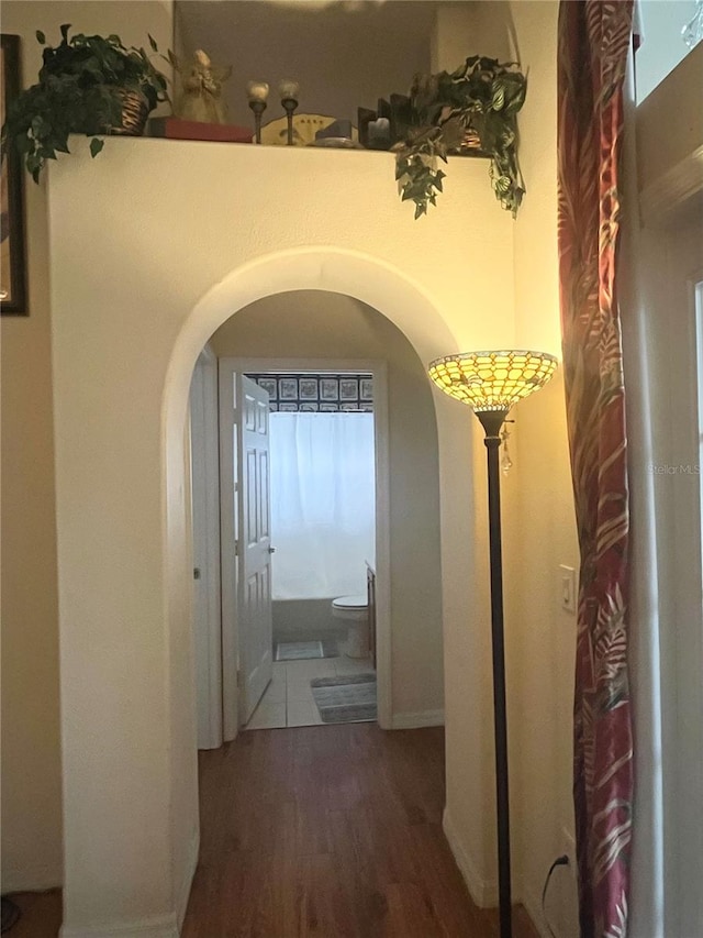 hallway featuring wood-type flooring