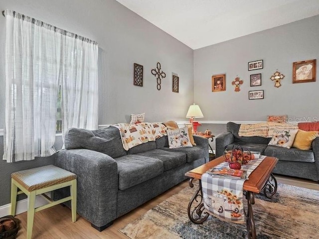 4485 Murphy Rd, Ona, FL 33865 - living area with wood finished floors and plenty of natural light