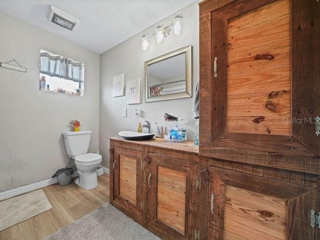 4485 Murphy Rd, Ona, FL 33865 - bathroom featuring toilet, baseboards, wood finished floors, and vanity