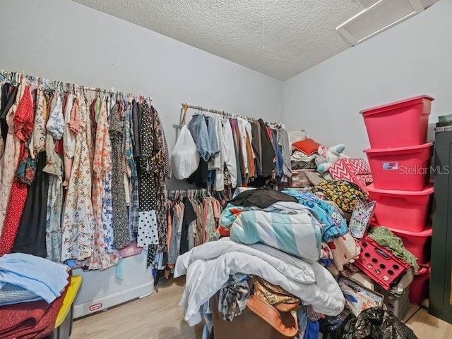 spacious closet with light wood-type flooring