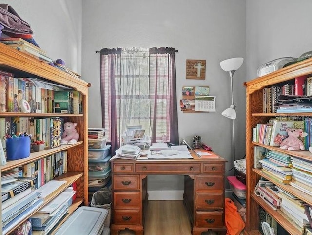 office featuring wood-type flooring