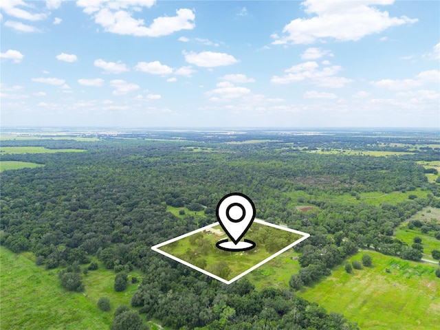 4485 Murphy Rd, Ona, FL 33865 - view of property location featuring property boundaries highlighted and a forest