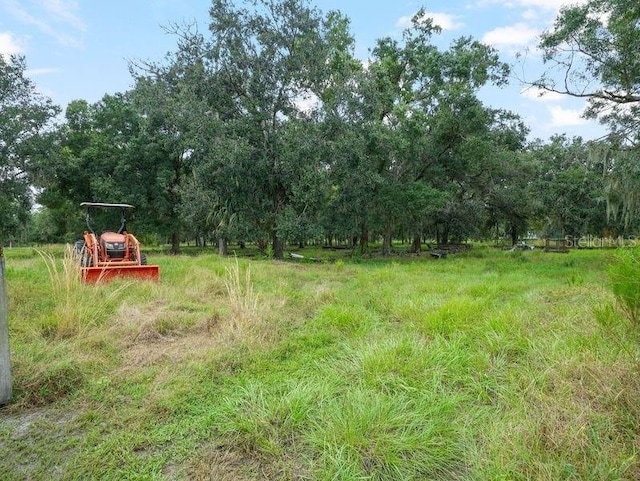 4485 Murphy Rd, Ona, FL 33865 - view of yard