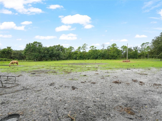 4485 Murphy Rd, Ona, FL 33865 - view of yard with a view of rural / pastoral area