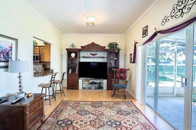 living room with light wood-type flooring, crown molding, and sink