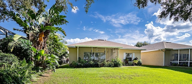 back of house featuring a lawn and ceiling fan