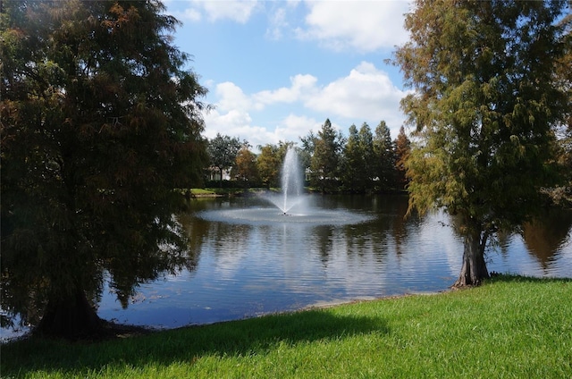 view of water feature