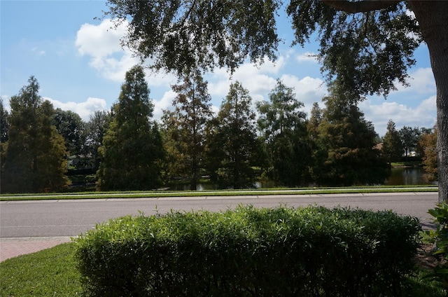 view of road with a water view