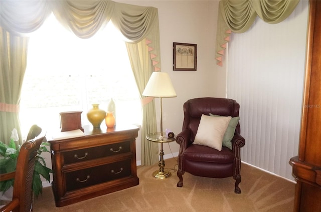 sitting room with carpet flooring